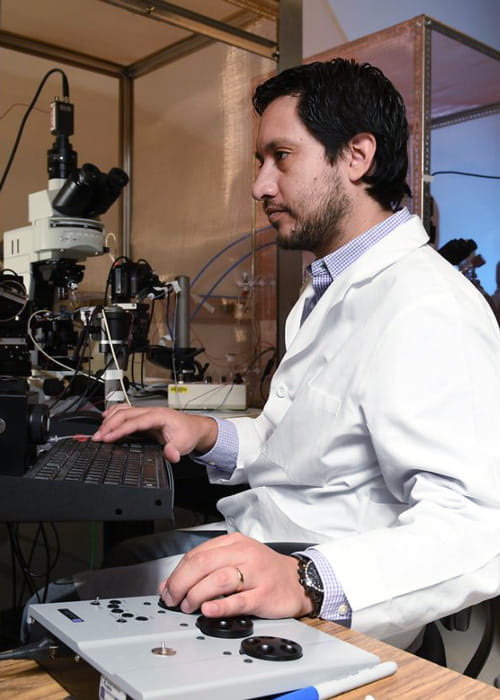 a researcher at work in the lab