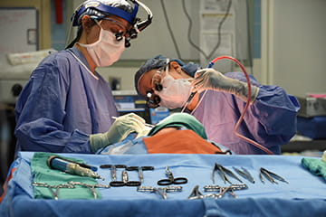 Surgical procedure 
