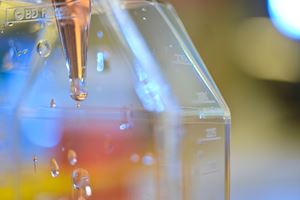 Lab-Details-02.jpg