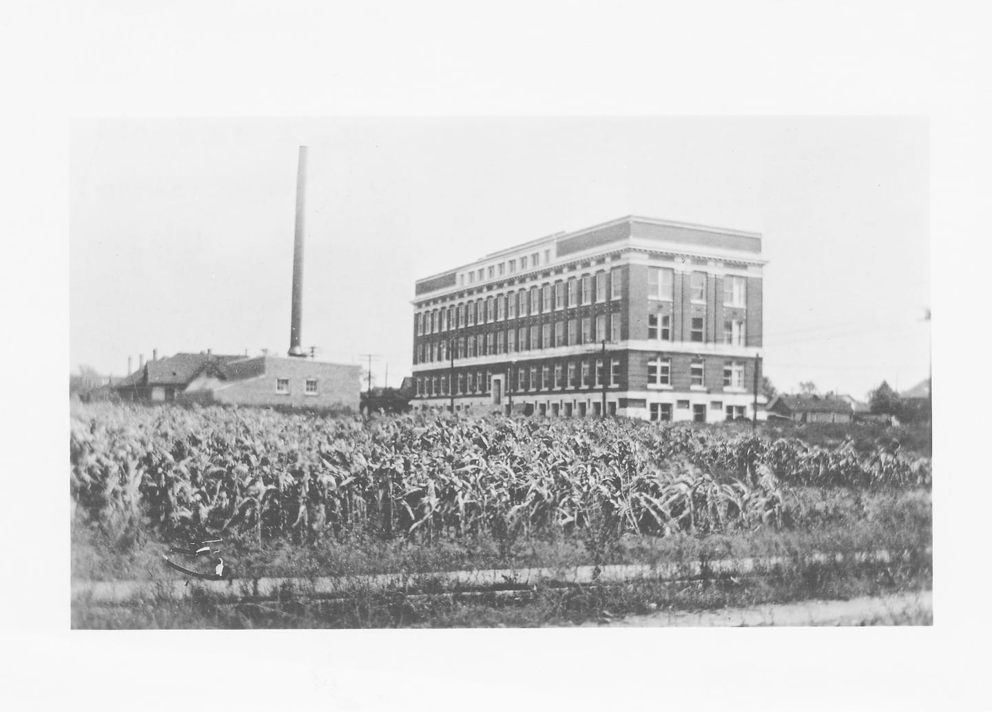 Iu School Of Medicine 1920 2.jpg