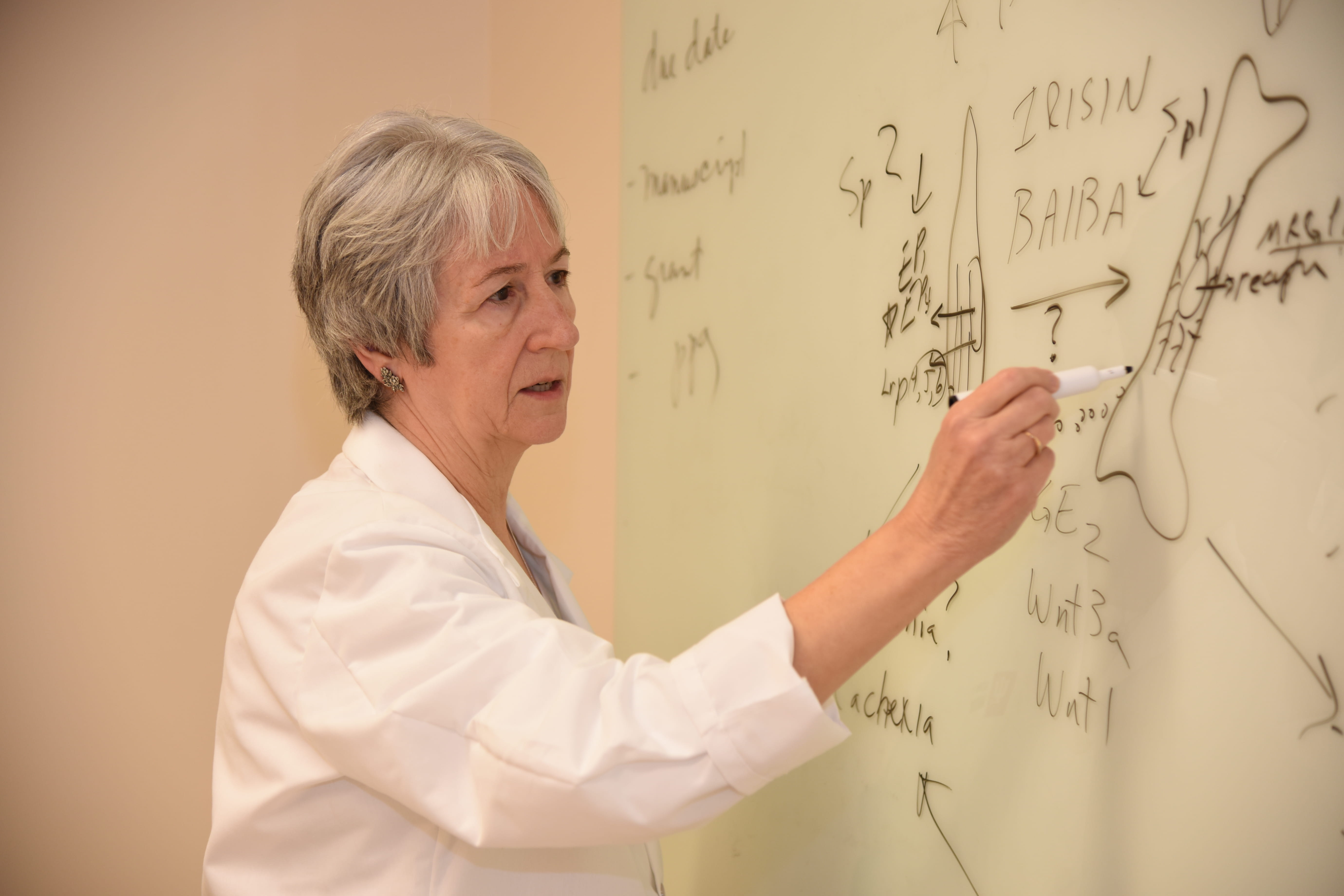 Lynda Bonewald teaching