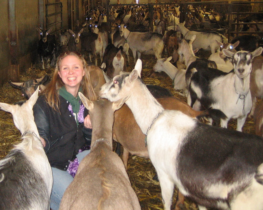 Dr. Margaret McNulty in a herd of dairy goats.