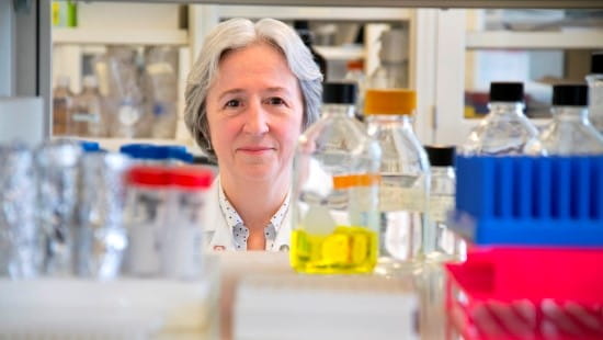 Lynda Bonewald in the lab