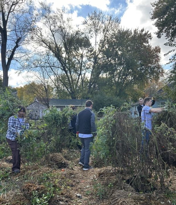 students volunteer in a garden