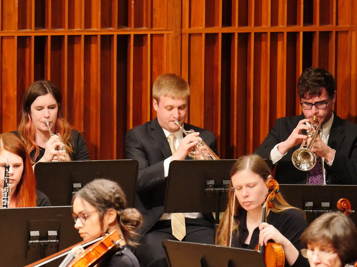 Orchestra musicians play their instruments at a concert