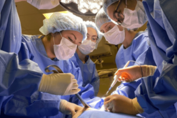 Residents and faculty participate in a surgical skills lab as part of their surgical training.