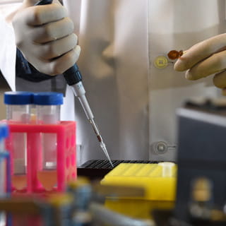 a student works on samples in the lab