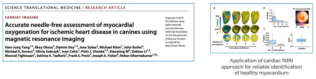 publication highlight for accurate needle-free assessment. Diagram shows application of cardiac fMRI approach for reliable identification of healthy myocardium