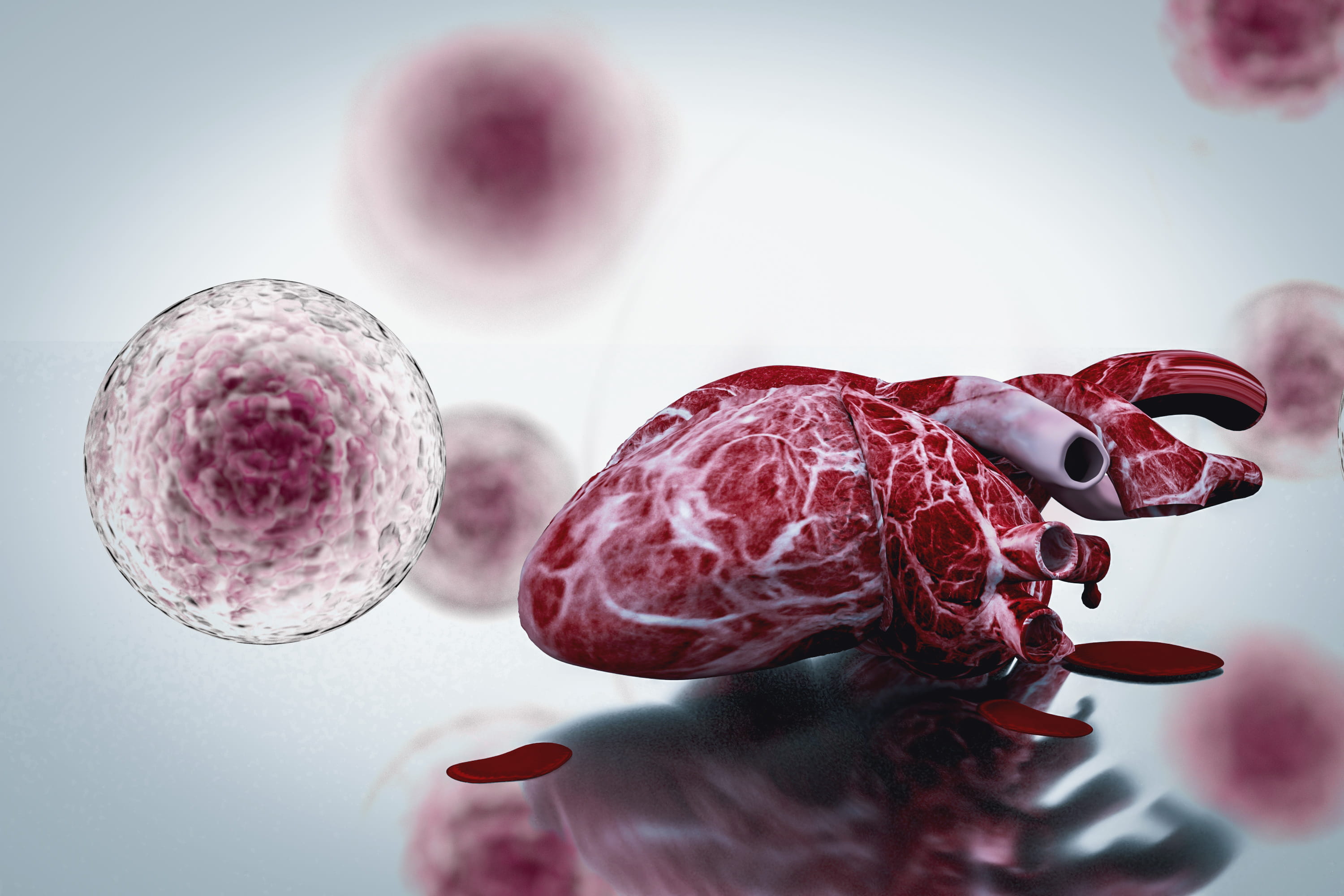 3D rendering of human heart and stem cell concept to illustrate heart disease healing. Adobe Stock-185077304.