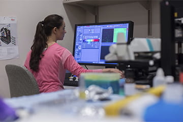 a researcher manipulates data at a computer station in the lab