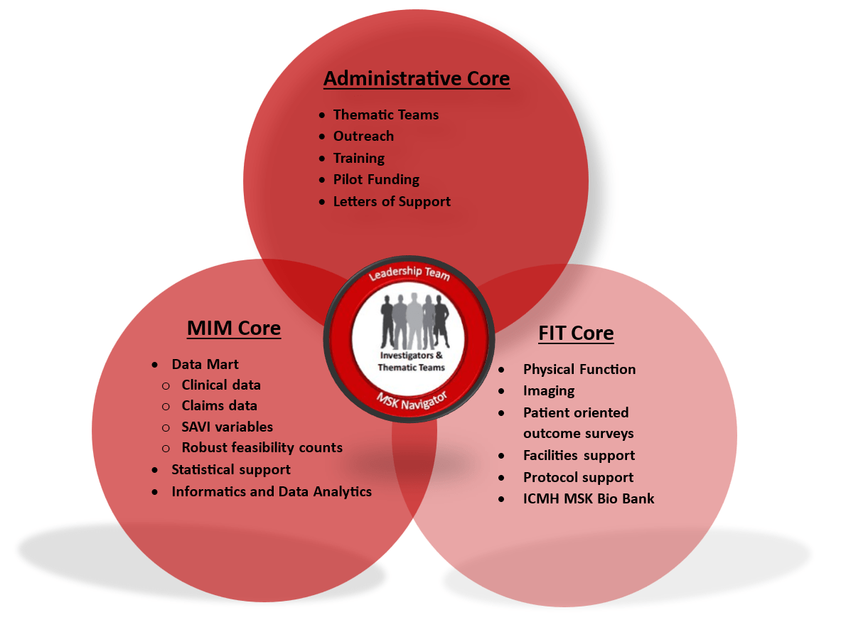 a venn diagram showing the three cores overlapping