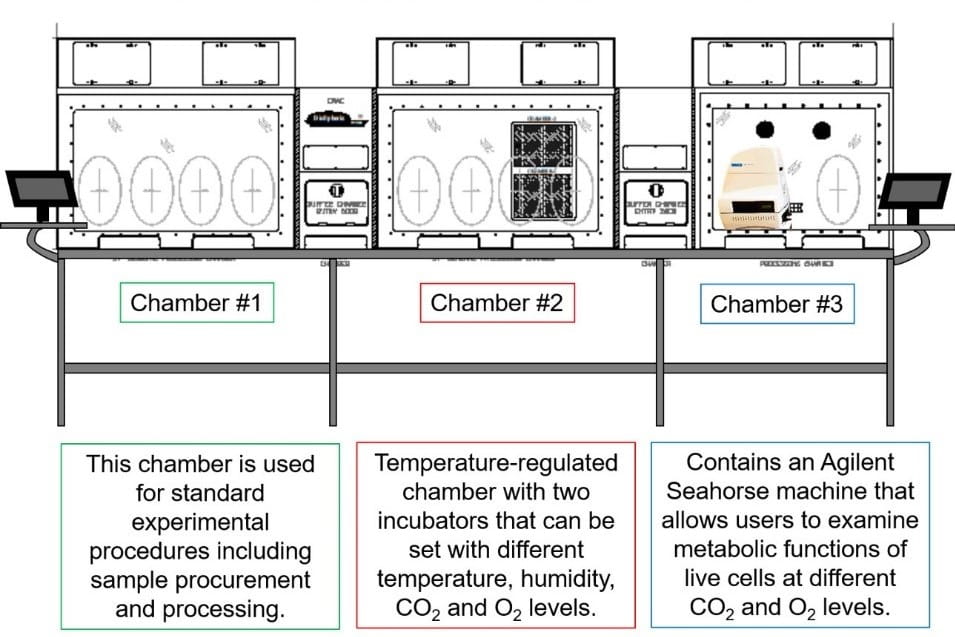diagram of the modified biospherix working station