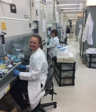students at work in a lab of a cceh member