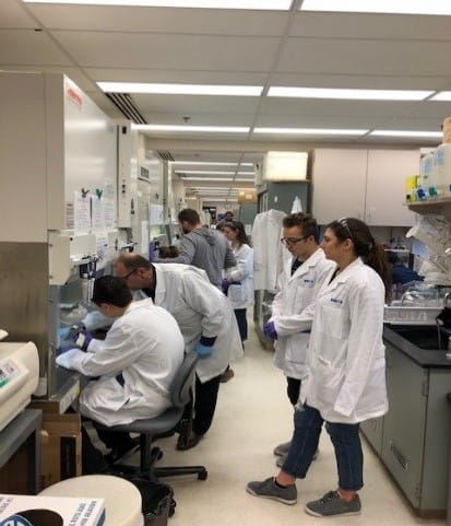 students participate in the annual CCEH workshop in hematopoiesis