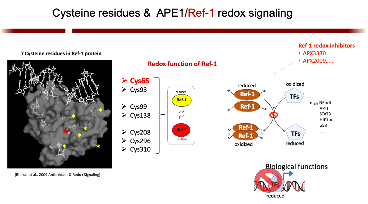Scientific graphic showing research findings from Mark Kelley, MS, PhD