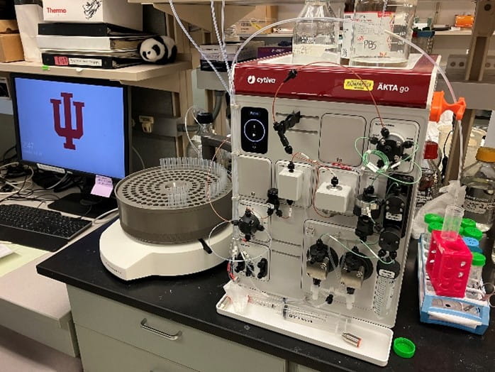 Molecular Virology Core for PO1 grant