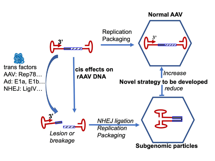 Project 2 Photo_Herzog