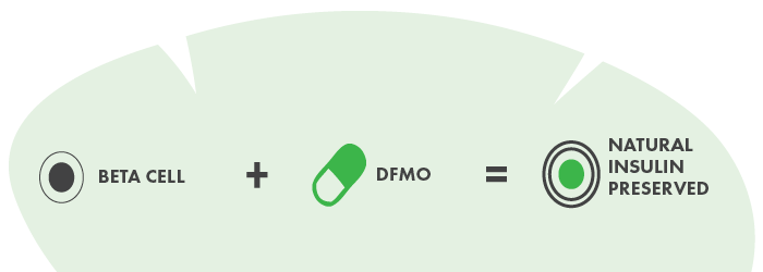 graphic that says "beta cell + DFMO = Natural insulin preserved"