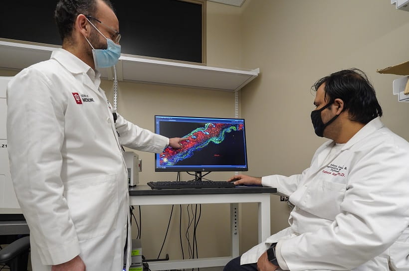 Two lab members discus image displayed by a microscope 