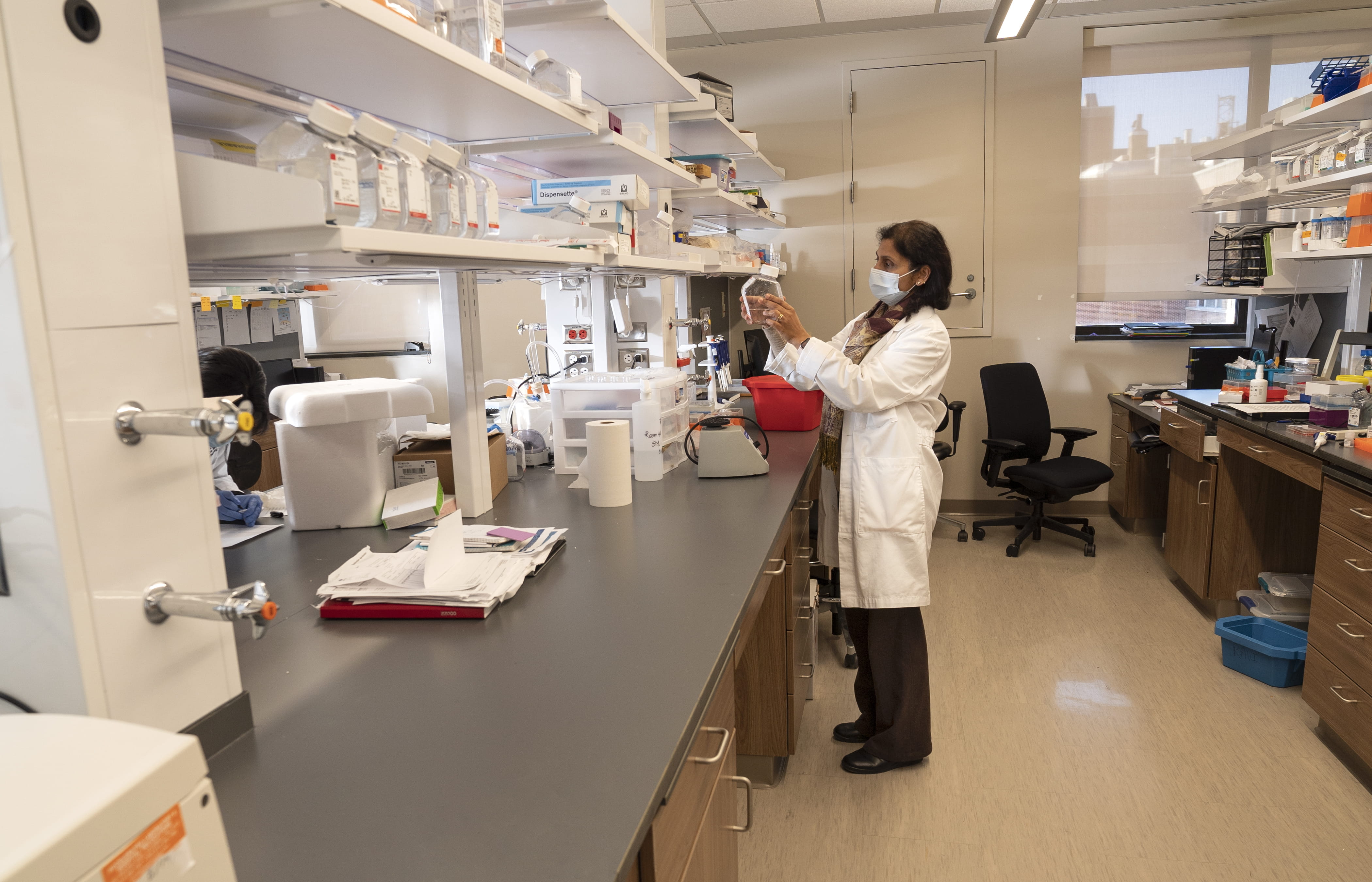 Photo of lab member working in the lab