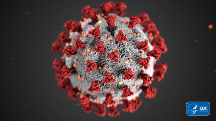 image of the coronavirus