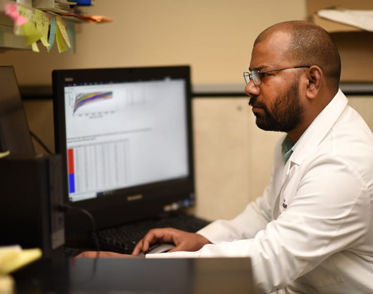 a student reviews data in the lab