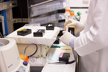 Alves Lab