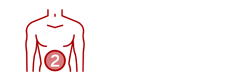 POCUS Abdomen Icon 2