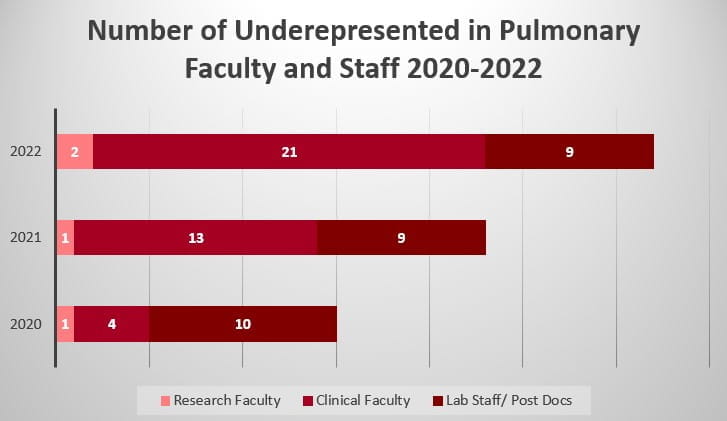 bar chart shows improvement in diversity of faculty and staff