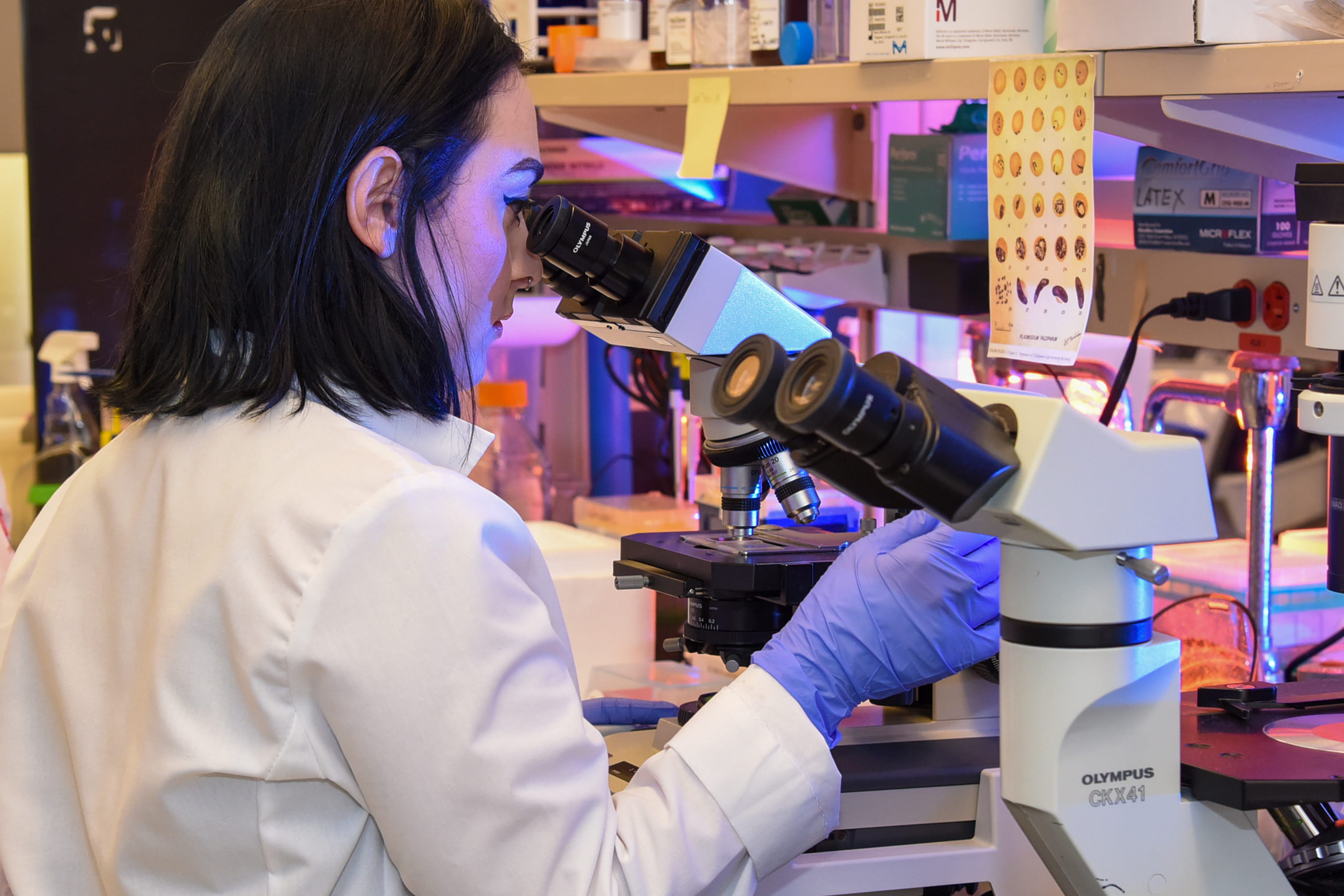 A female researcher looks into a microscope in a lab.