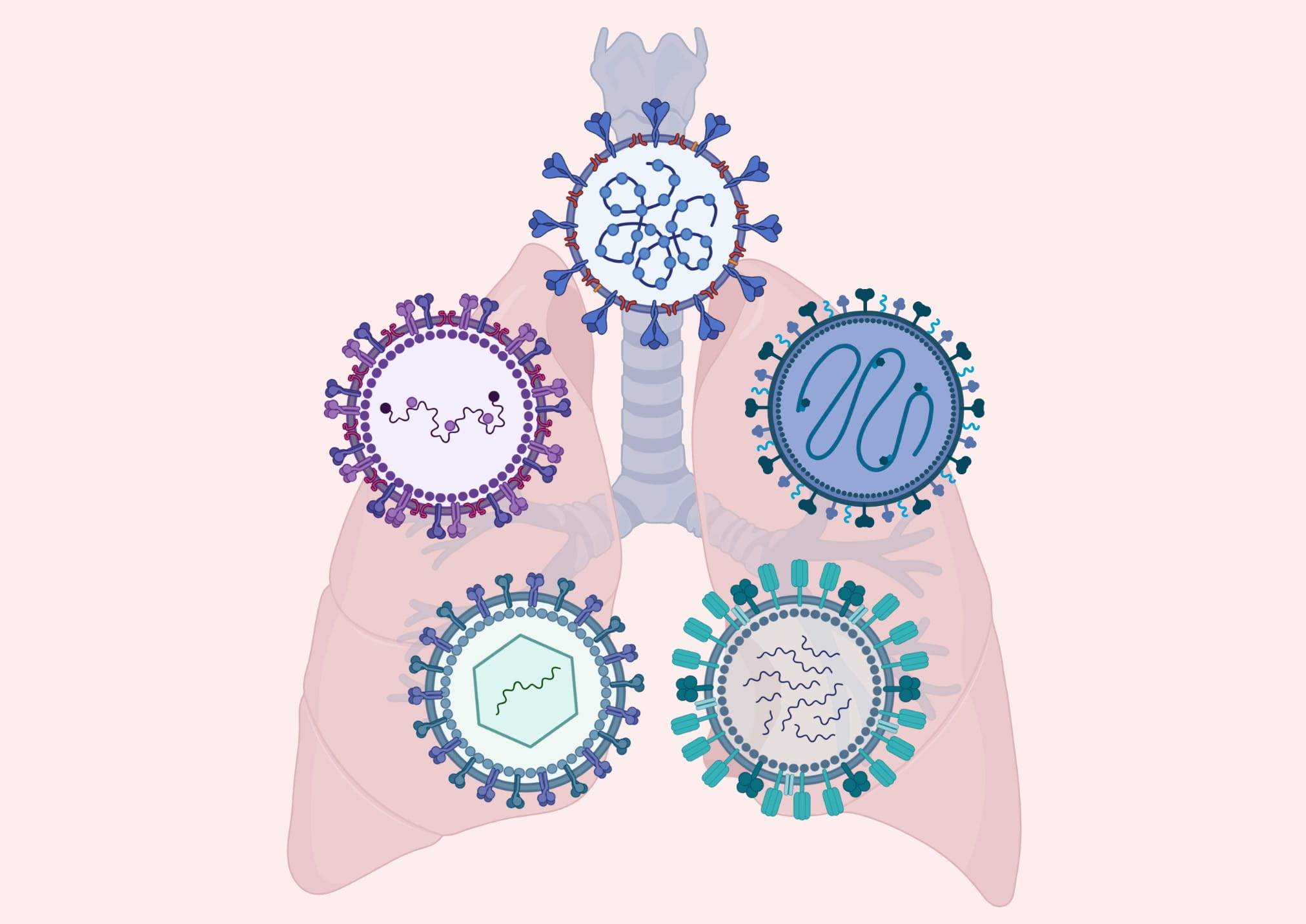 POSCoR studies the prevalence of COVID-19 in children with respiratory viral symptoms