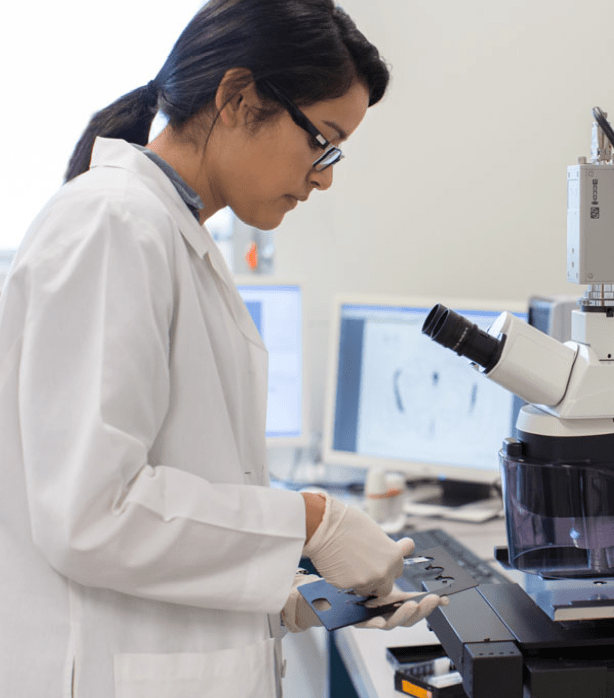 a toxicology student using a microscope