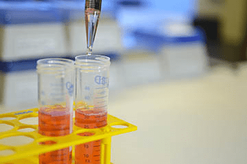 PTSD Negative Alterations