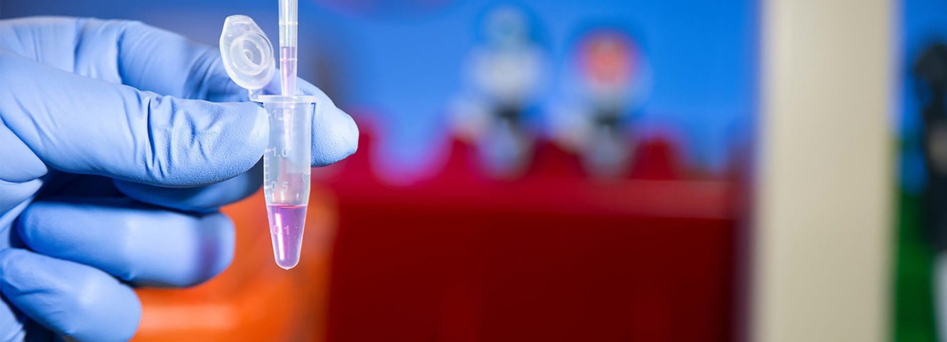 gloved hand piping liquid into vial