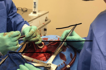 CT Kindheart Sim lab with resident