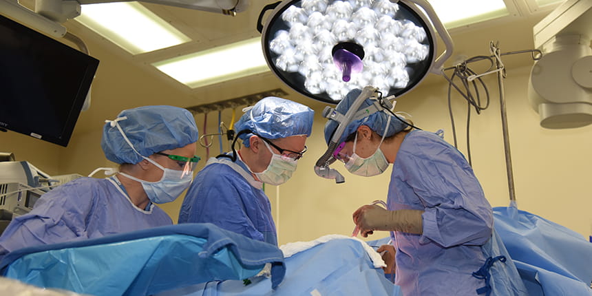 Reconstructive Urology Research