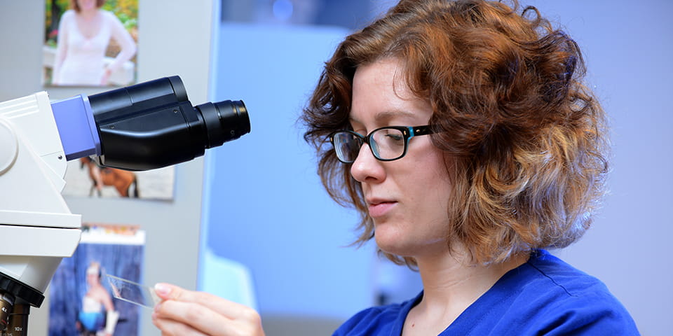 a cytotechnology student places slides in the microscope