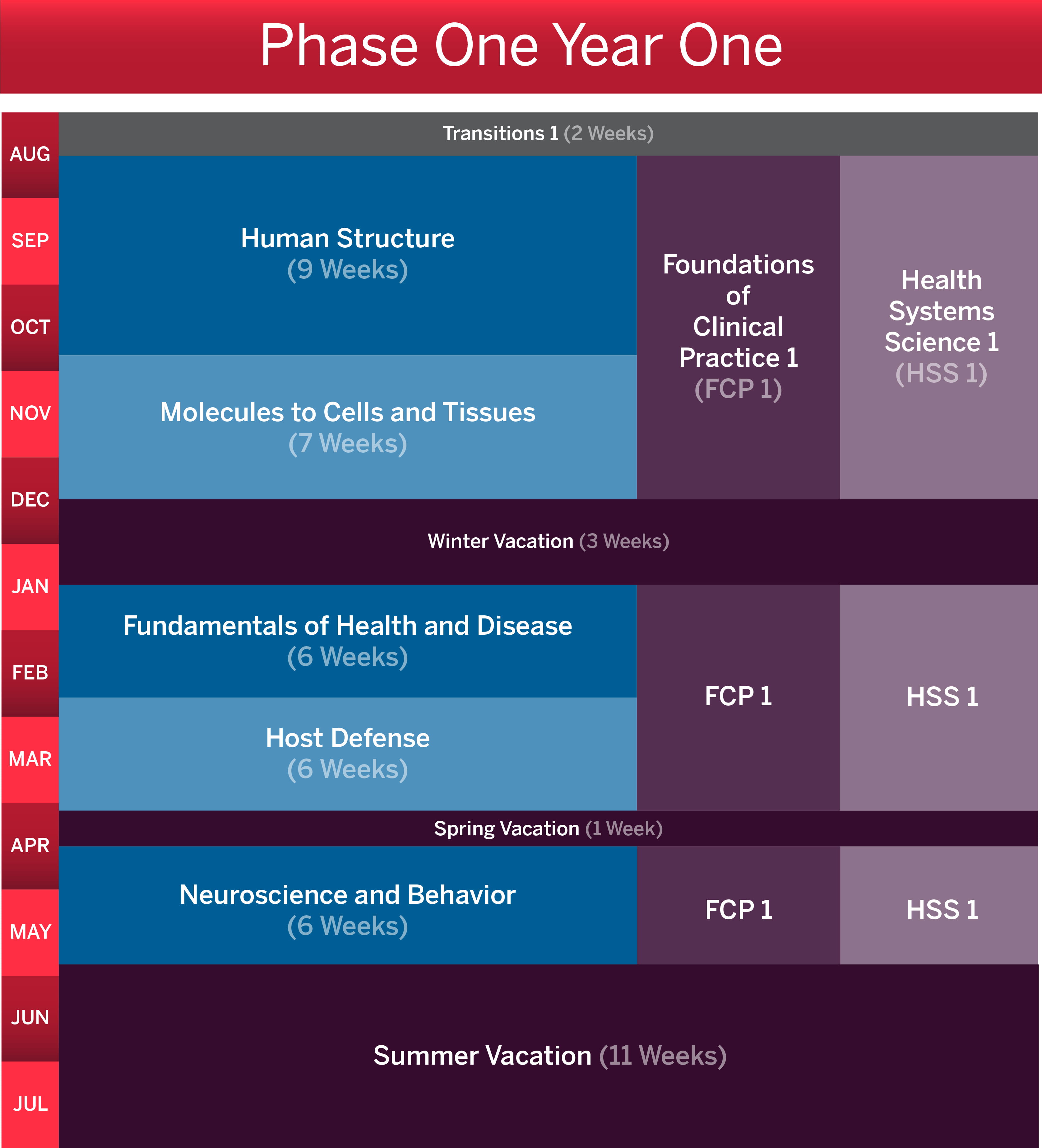 calendar shows schedule of phase 1 year 1