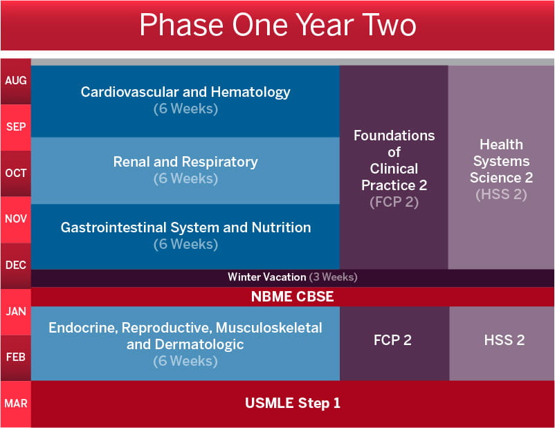 calendar shows schedule of phase 1 year 2