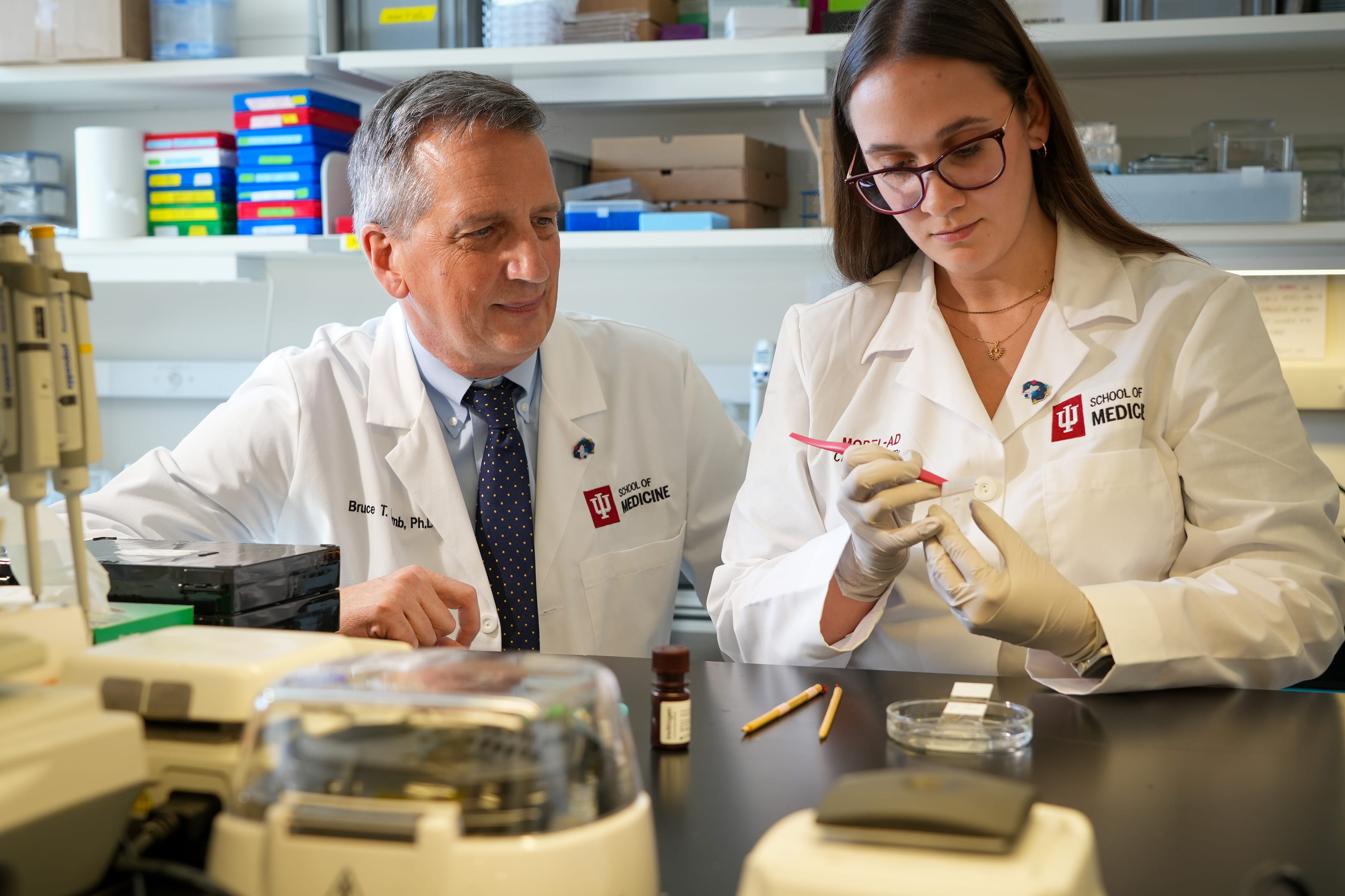 MODEL-AD researchers