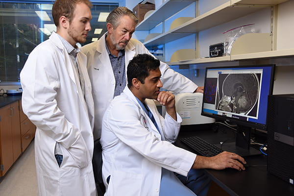Neurosurgery Researchers