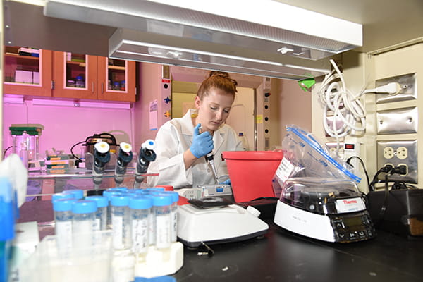 A researcher works in the Hawkins Lab