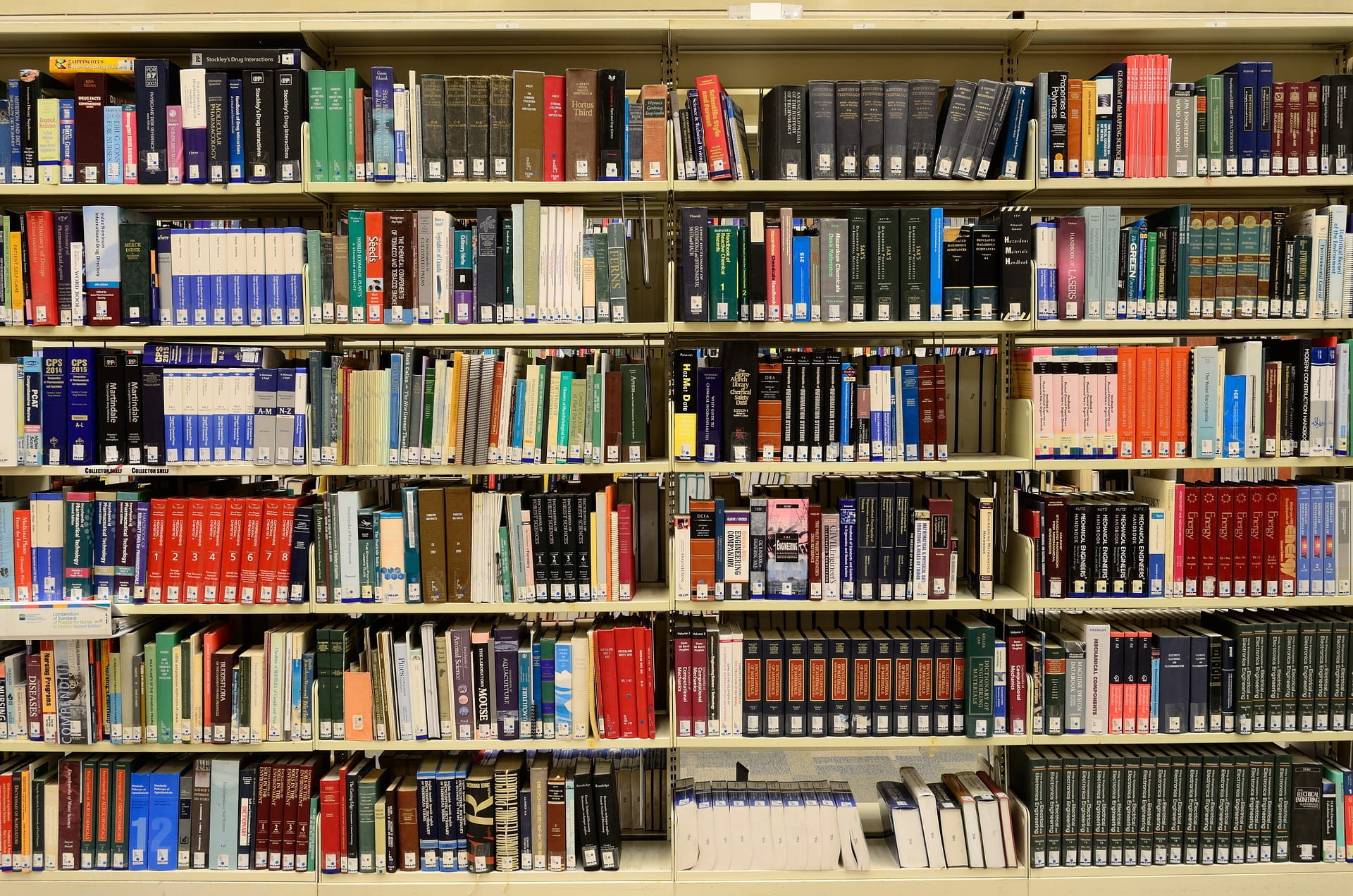 book shelves in a school library