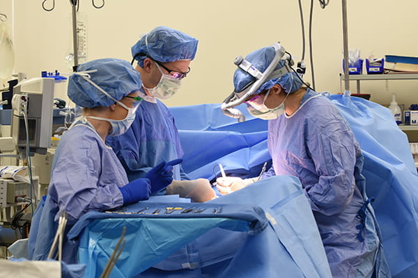 Urology surgery team at work