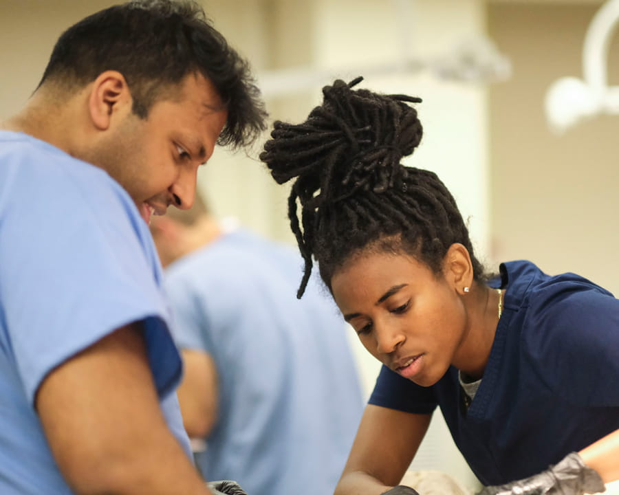 two students work together during anatomy lab