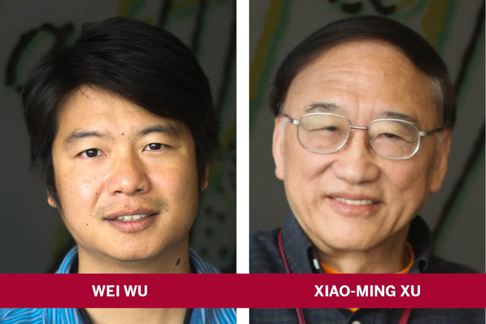 spinal cord injury stark neuroscience research institute