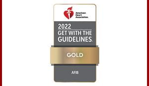 2022 AFIB Award