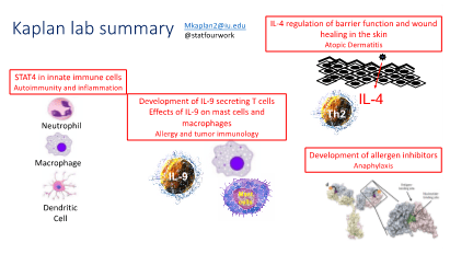 graphic shows overview of research projects in the lab