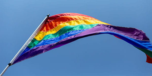 LGBTQ+ Pride Flag