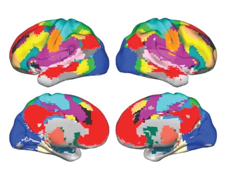 colorful brain diagrams
